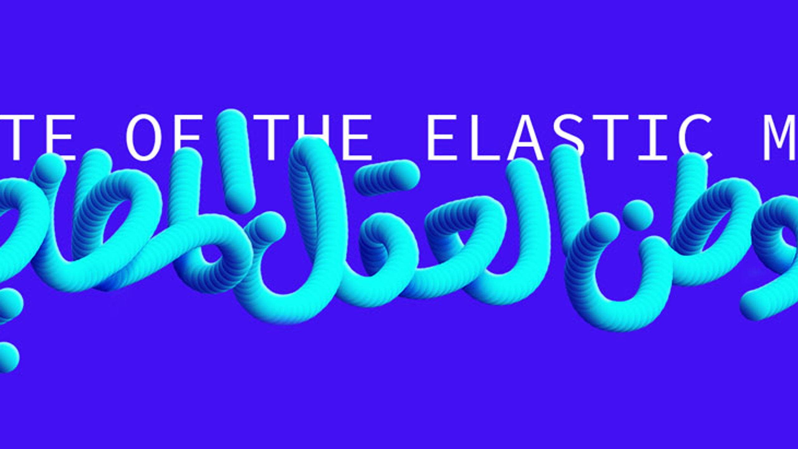 The State of The Elastic Mind 2019
